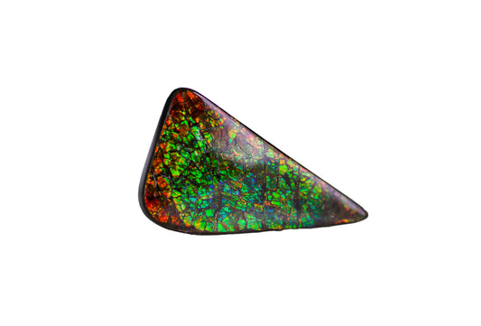 アンモライト 46.60ct