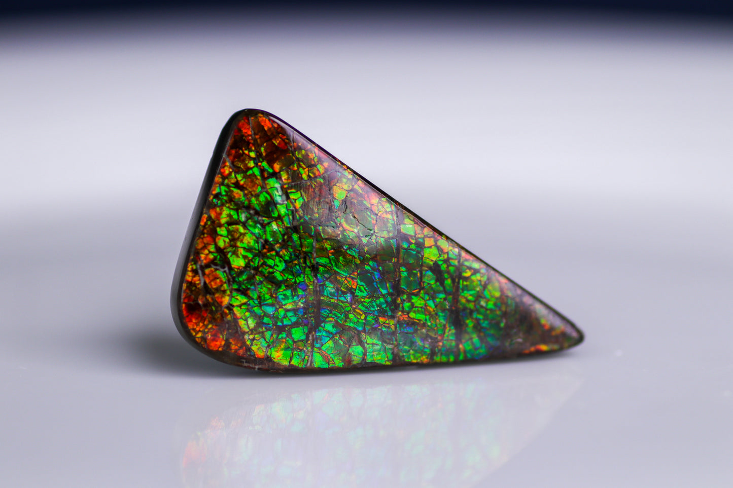 アンモライト 46.60ct