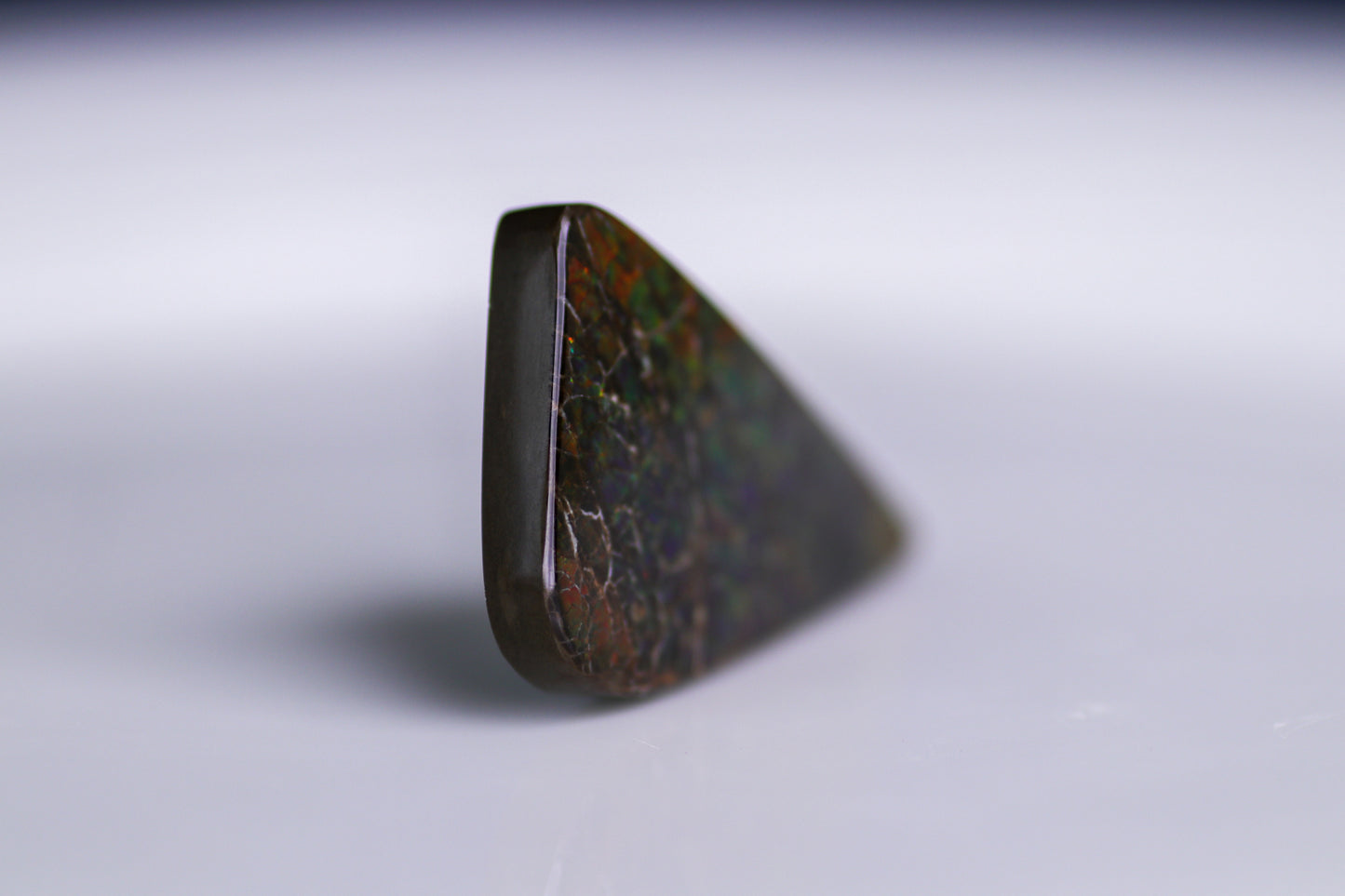 アンモライト 46.60ct