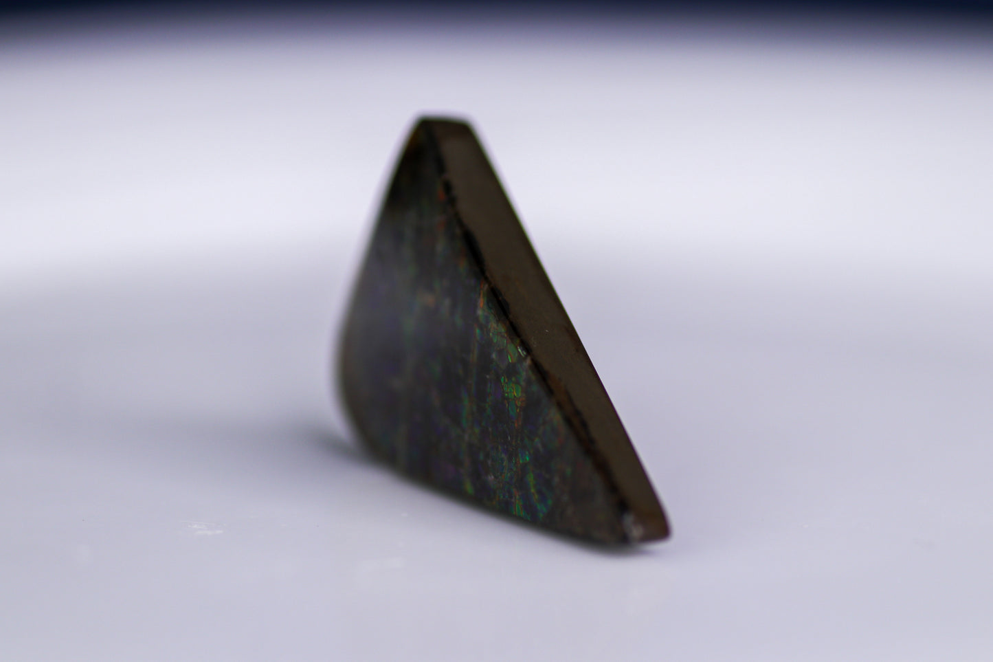 アンモライト 46.60ct