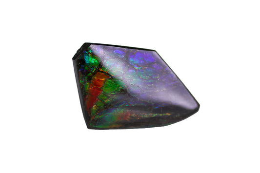 アンモライト 45.20ct