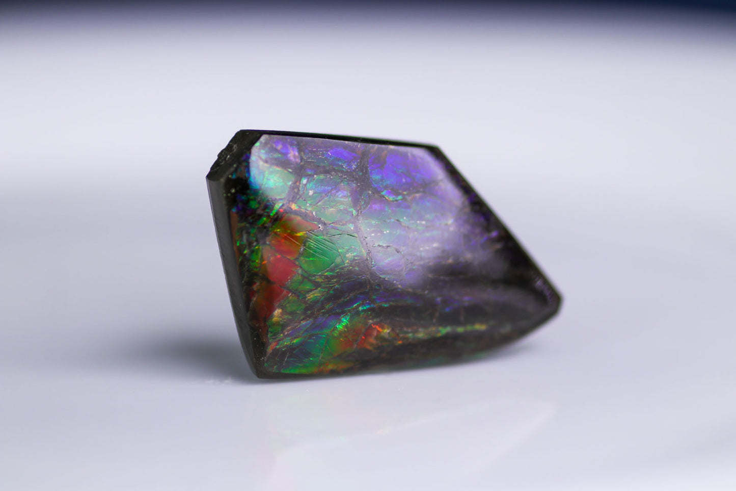 アンモライト 45.20ct