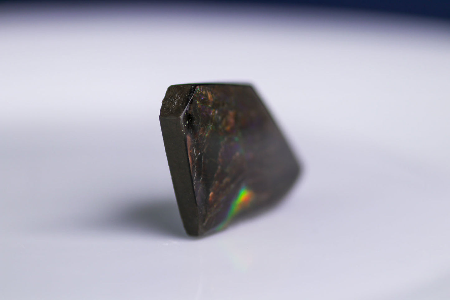 アンモライト 45.20ct