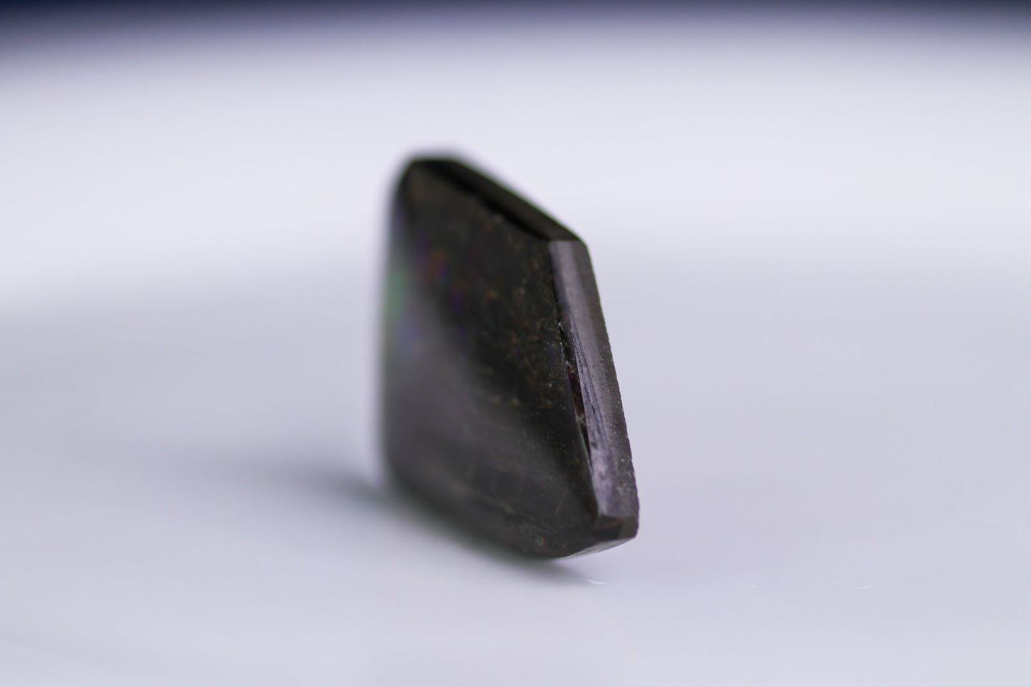 アンモライト 45.20ct