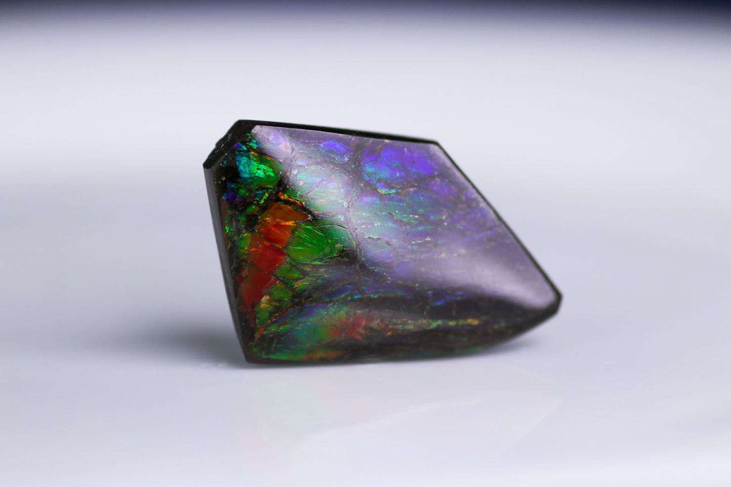 アンモライト 45.20ct