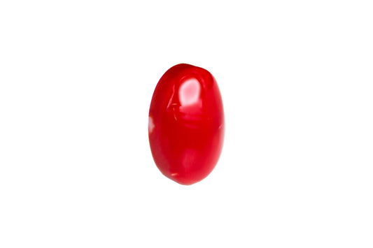 天然 血赤珊瑚 3.4ct [国産]