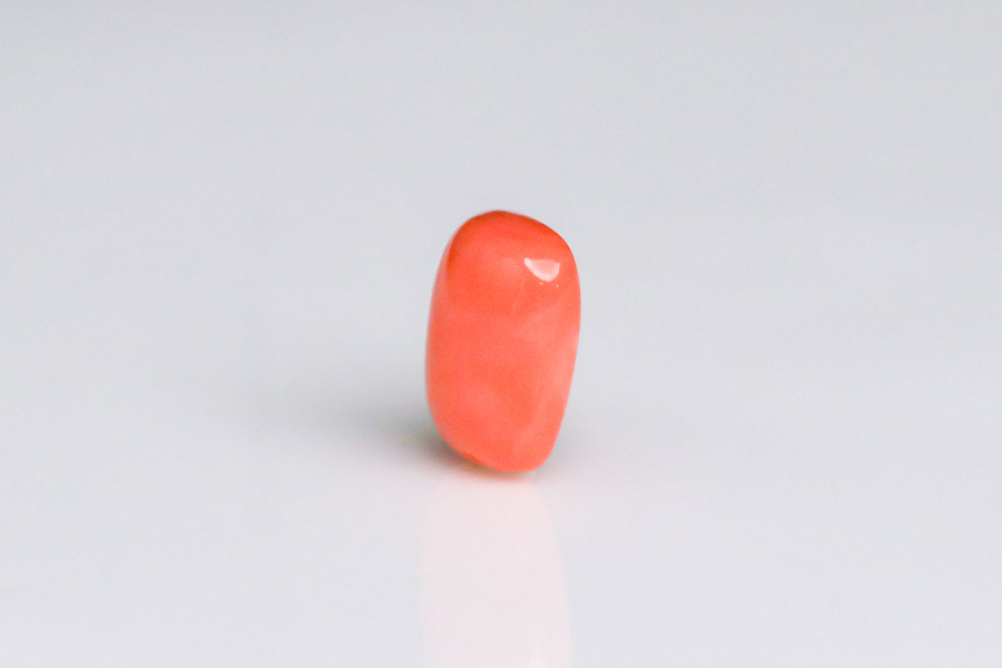 天然珊瑚