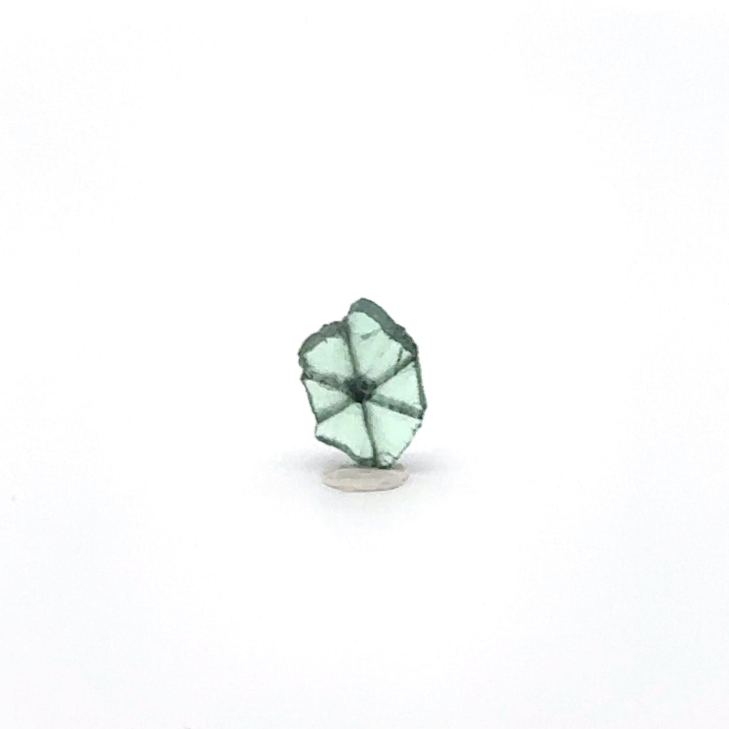 天然トラピッチェエメラルド 1.28ct [コロンビア産]　