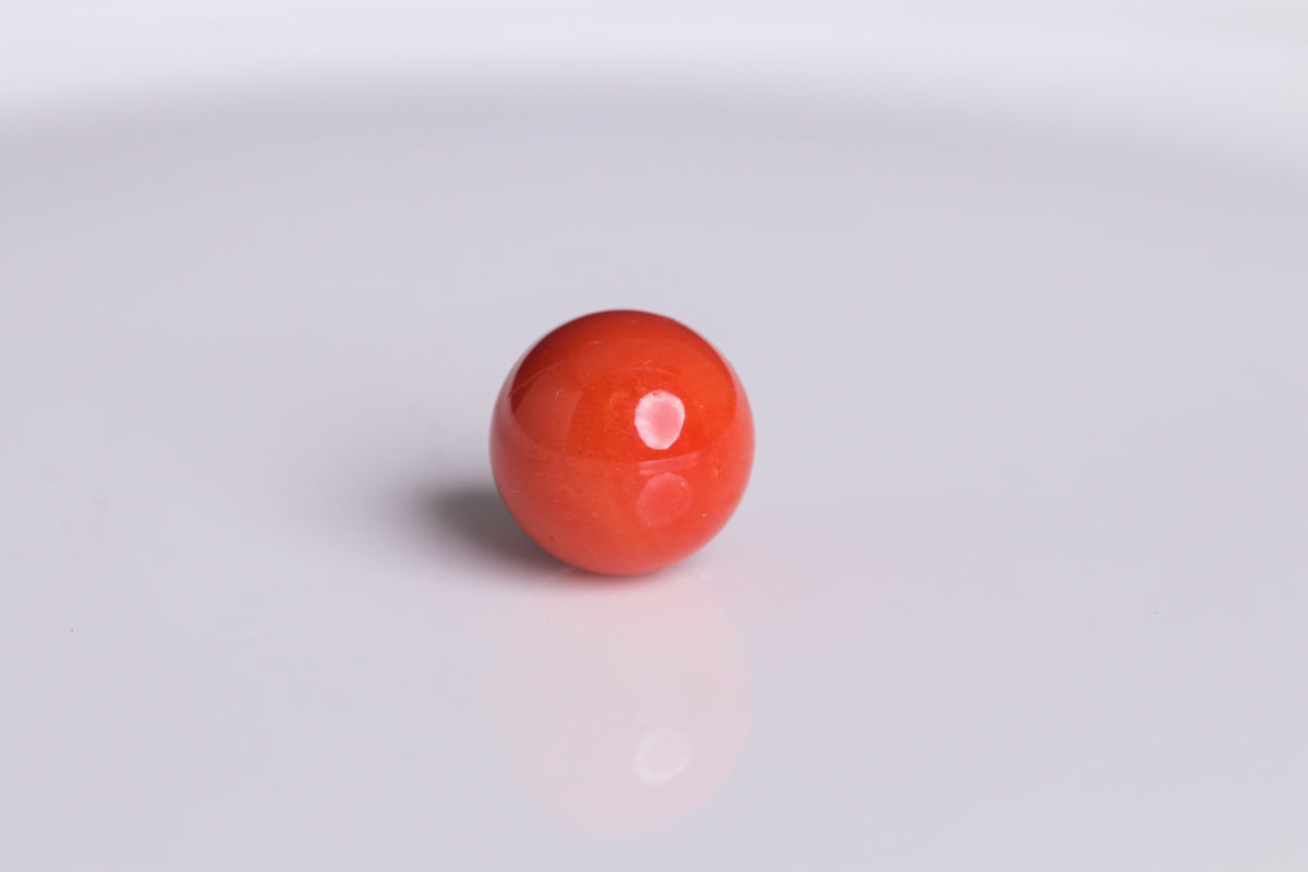 天然サルジ珊瑚 15.1ct